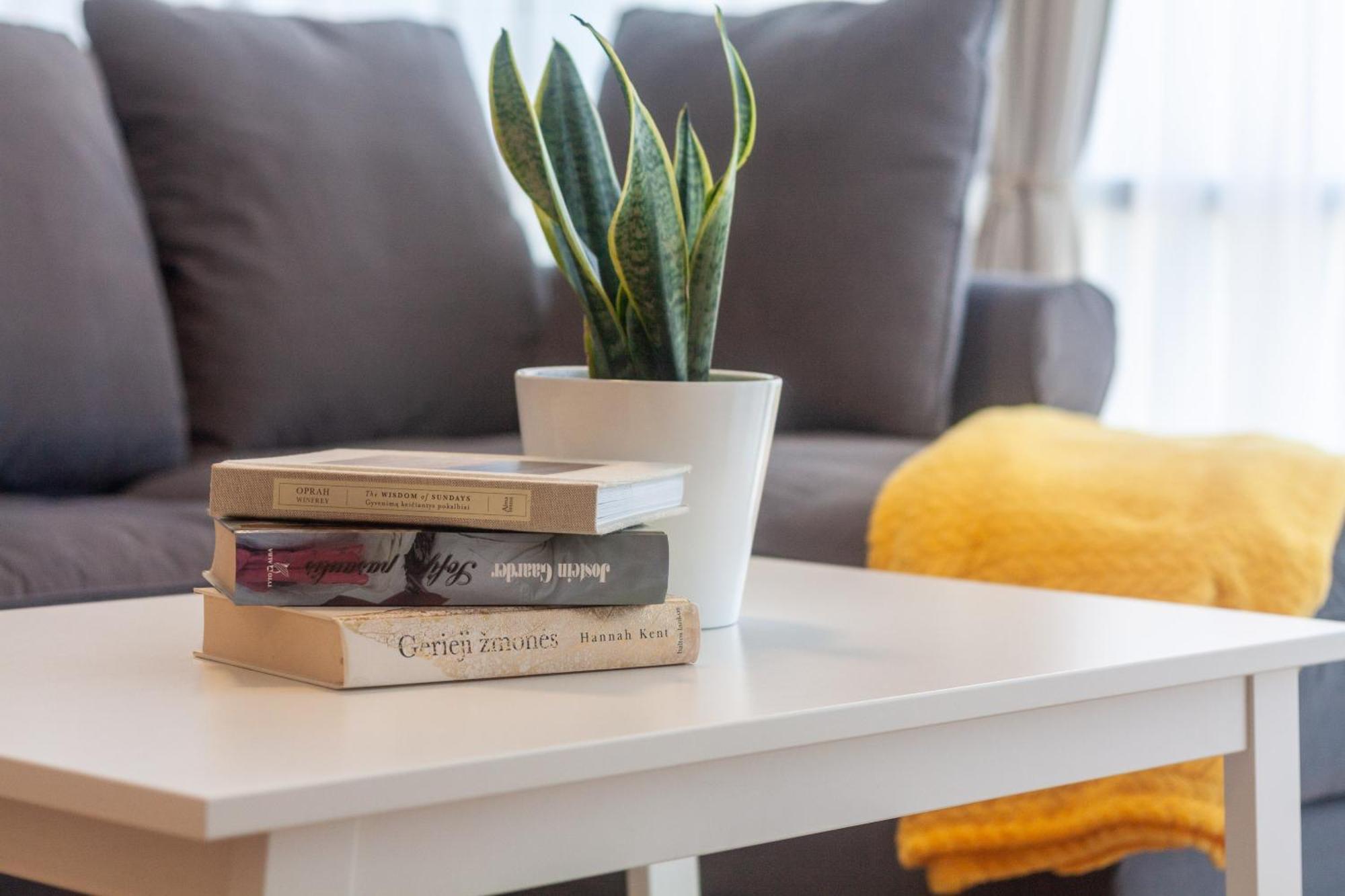 Elija Swan-Toy Apartments Šventoji 部屋 写真